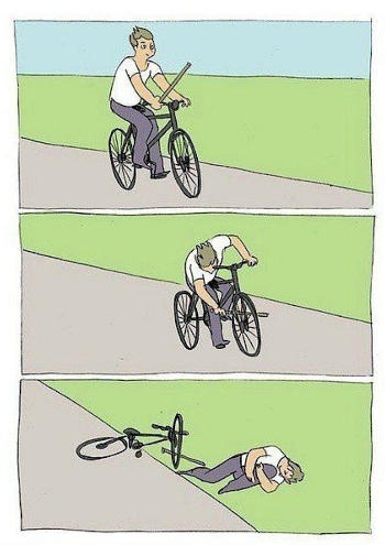 meme image of a dumb person putting a stick inside their front bike wheel while moving, causing a comic fall