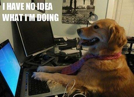 Picture of the meme, a dog facing a computer screen, with the writing saying the dog has no idea what they are doing